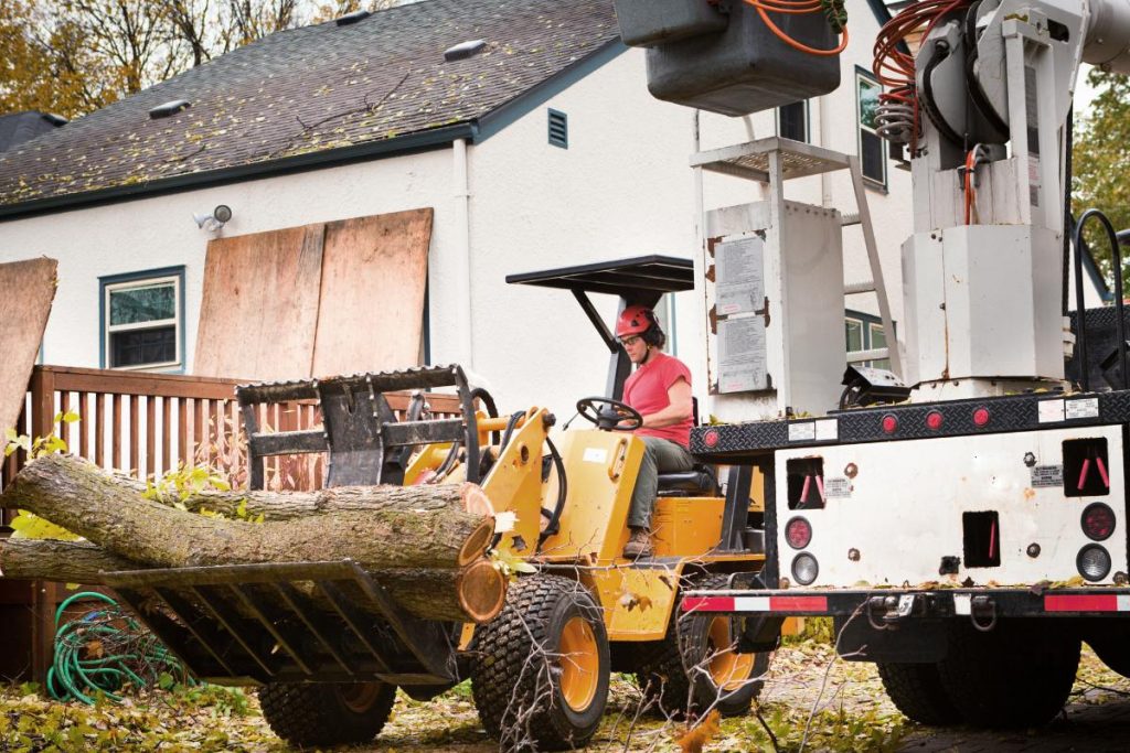 emergency tree removal st joseph mo