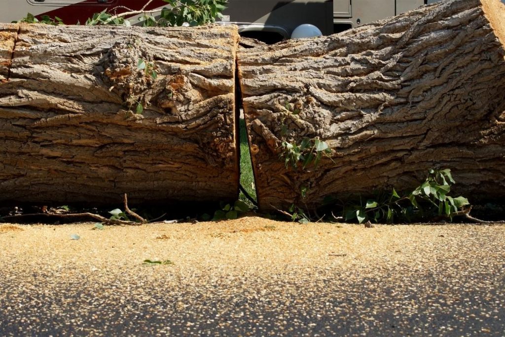 st joseph mo tree removal