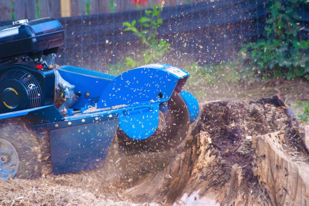 tree and stump grinding removal st joseph